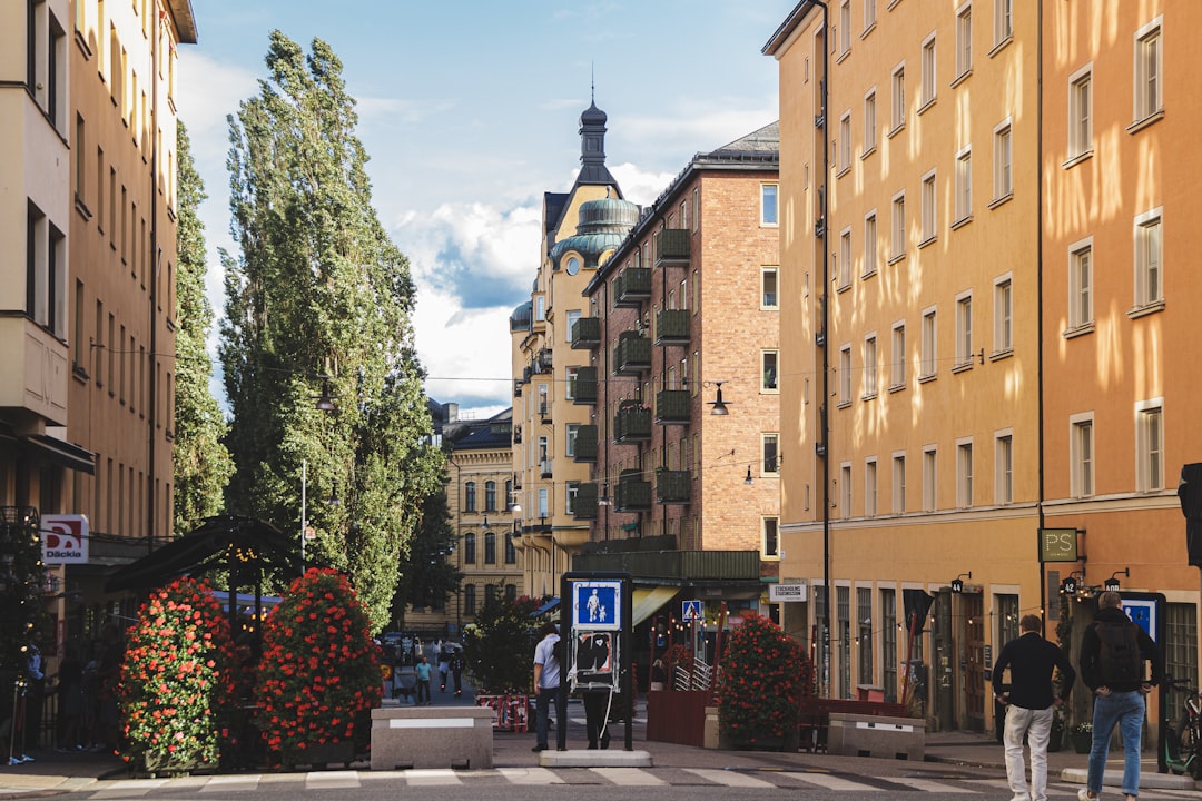 Activité team building en plein air à Stockholm avec groupe d'entreprise