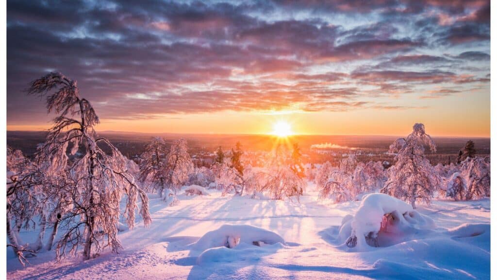 Séminaire en Laponie finlandaise : coucher de soleil polaire sur la forêt enneigée de Rovaniemi