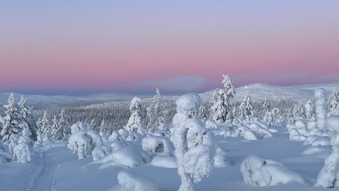 Paysage hivernal de Laponie avec aurores boréales pour séminaire entreprise
