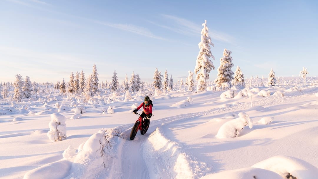 Équipe en séminaire lors d'une randonnée en raquettes à Ylläs Finlande